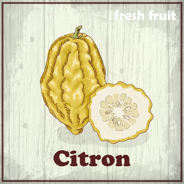 Fruits frais croquis fond. Illustration de dessin à la main de citron — Image vectorielle