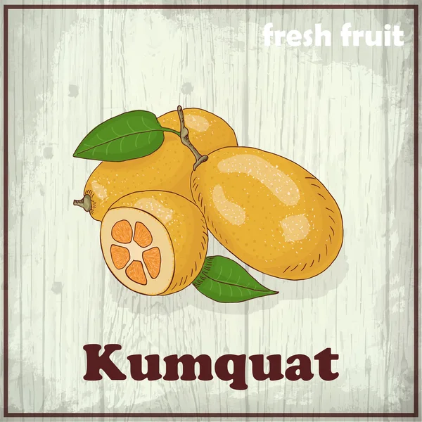 Fondo de boceto de fruta fresca. Dibujo a mano ilustración de kumquat — Archivo Imágenes Vectoriales