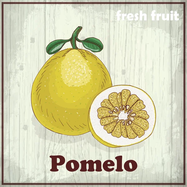 Fondo de boceto de fruta fresca. Dibujo a mano ilustración de Pomelo — Vector de stock