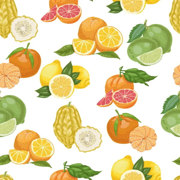 Seamless pattern with citrus fruit on white background — Stock Vector