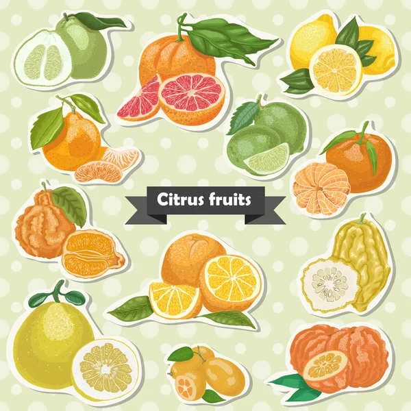 Verzameling van geïsoleerde label citrusvruchten — Stockvector