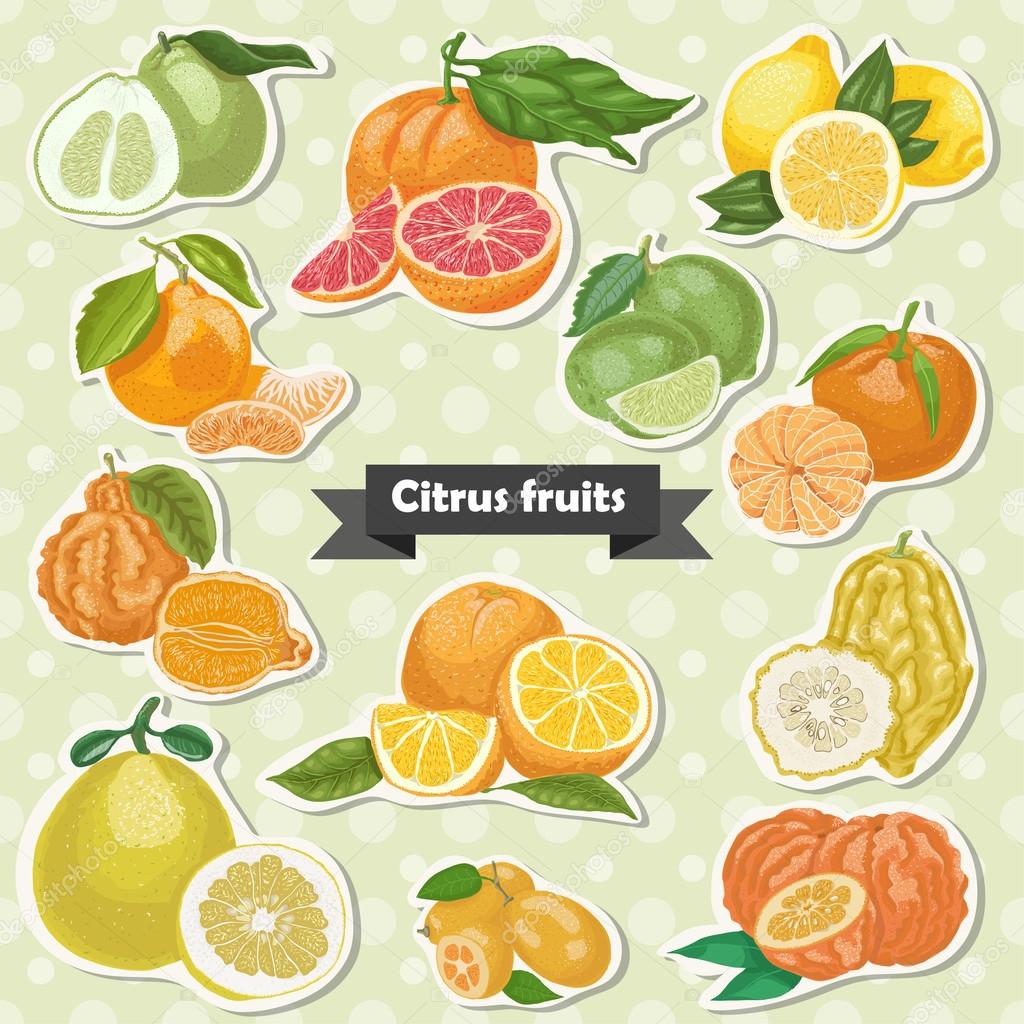 Set of isolated label citrus fruits