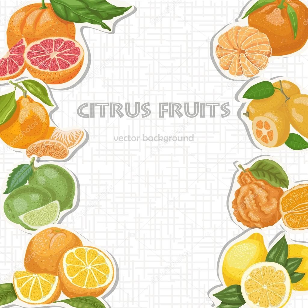 Vector background with citrus fruits