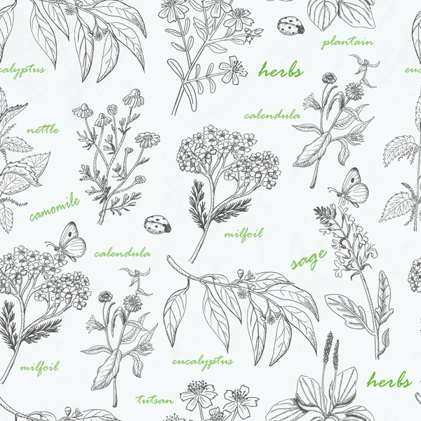 Modèle sans couture vectoriel avec des herbes sur un fond blanc — Image vectorielle