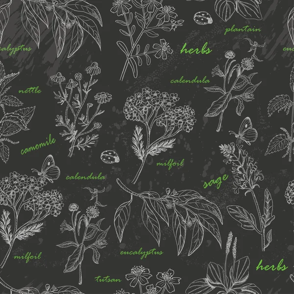 Modèle sans couture vectoriel avec des herbes sur un fond sombre — Image vectorielle