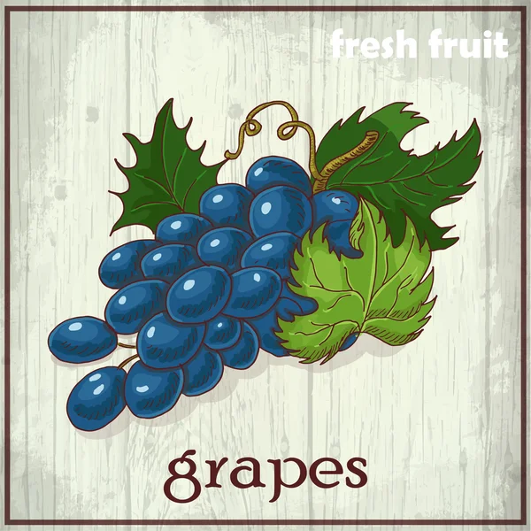 Dibujo a mano ilustración de uvas. Fondo del boceto de fruta fresca — Vector de stock