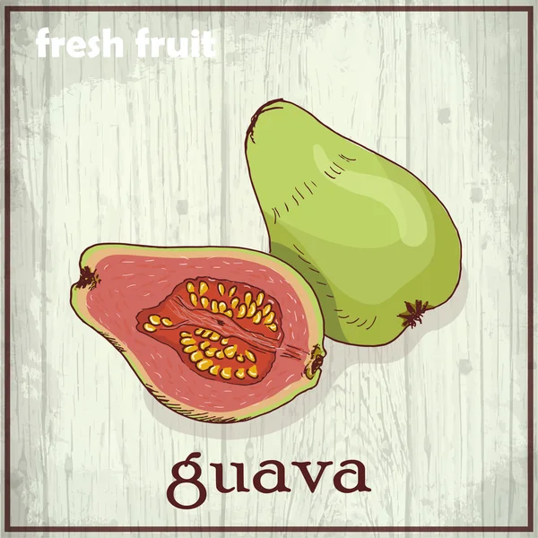 El guava çizim Illustration. Taze meyve kroki arka plan — Stok Vektör
