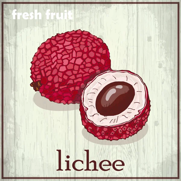 Dibujo a mano ilustración de lichee. Fondo del boceto de fruta fresca — Archivo Imágenes Vectoriales