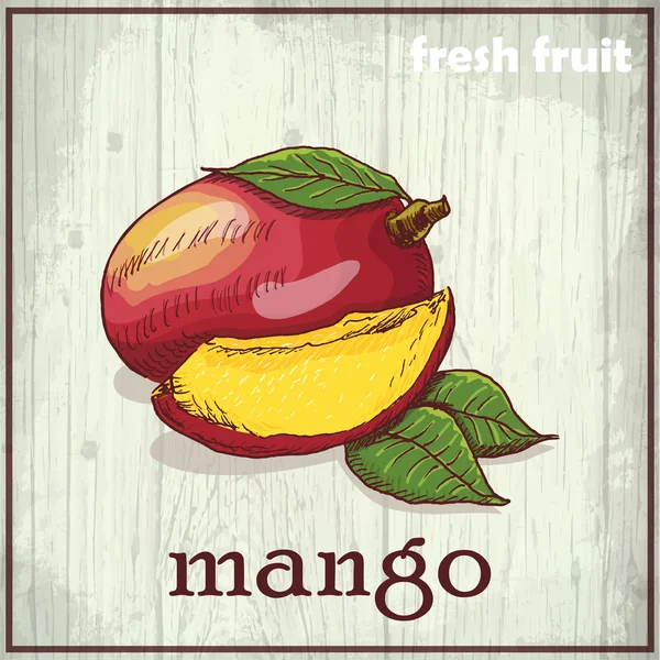 Hand ritat illustration av mango. Färsk frukt skiss bakgrund — Stock vektor