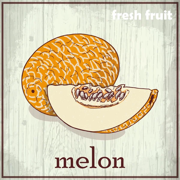 Dibujo a mano ilustración de melón. Fondo del boceto de fruta fresca — Vector de stock