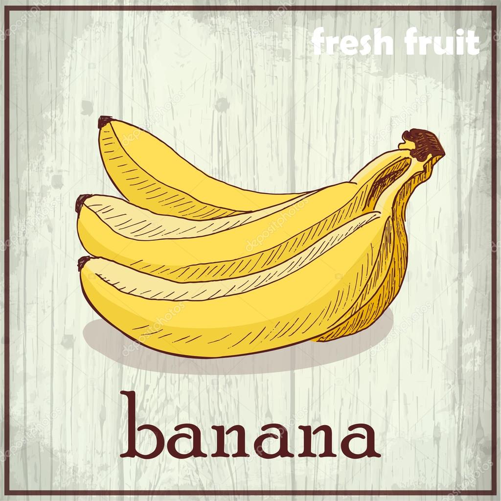 Hand drawing illustration of banana. Fresh fruit sketch background