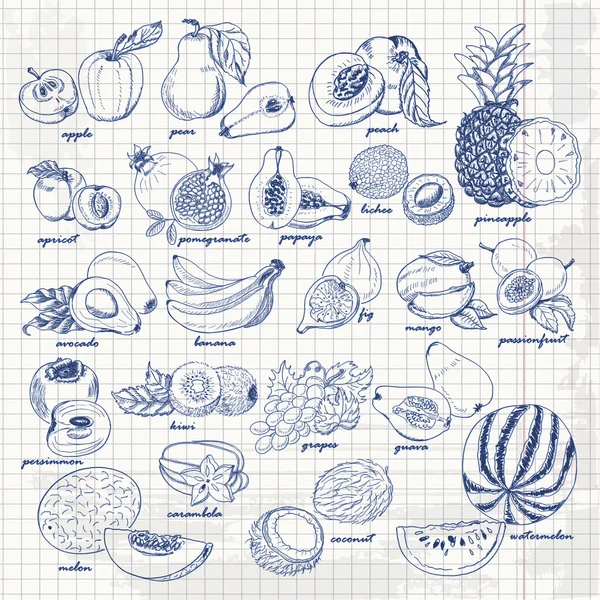 Conjunto de frutas no papel. Desenho de mão vetorial desenho ilustração — Vetor de Stock