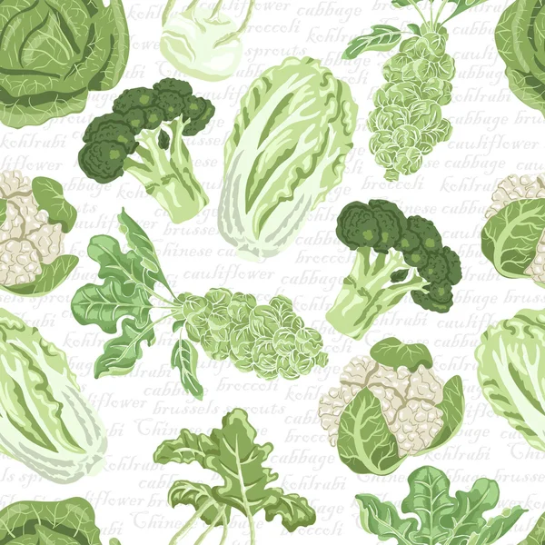 Seamless pattern with different varieties of cabbage — Stock Illustration Seamless pattern with different varieties of cabbage Royalty Free Stock Vectors
