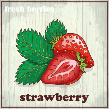 El çilek çizim Illustration. Taze çilek arka plan kroki