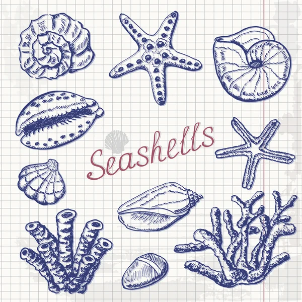 Vector collectie van zeeschelpen, koraal en zeester op papier. Hand tekening illustratie — Stockvector