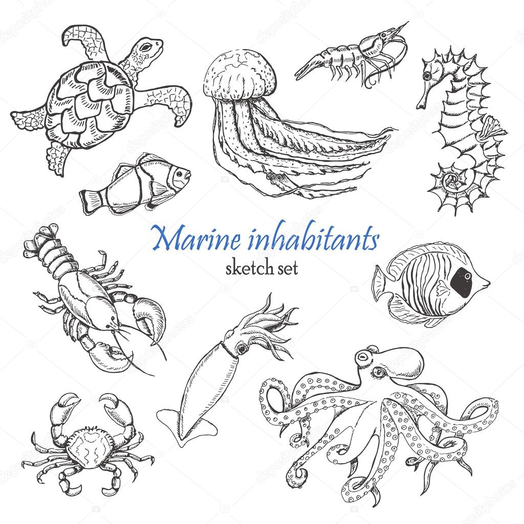 Vector collection of sea inhabitants in sketch style