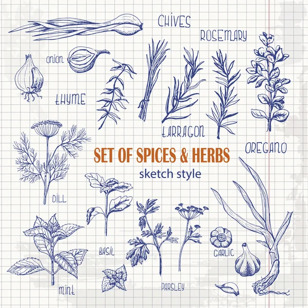 Ensemble d'herbes et d'épices en style croquis sur papier — Image vectorielle