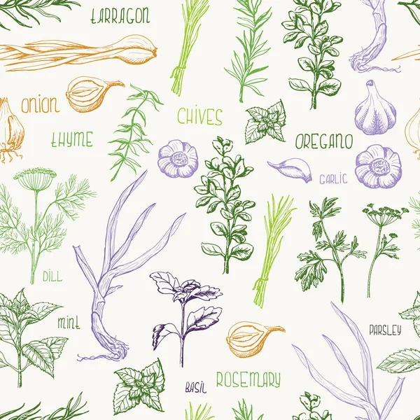 Seamless pattern with herbs and spices — Stock Illustration Seamless pattern with herbs and spices Stock Vector
