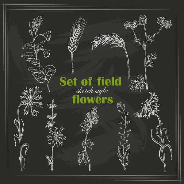 Set of isolated field plants in sketch style on black background — Stock Vector