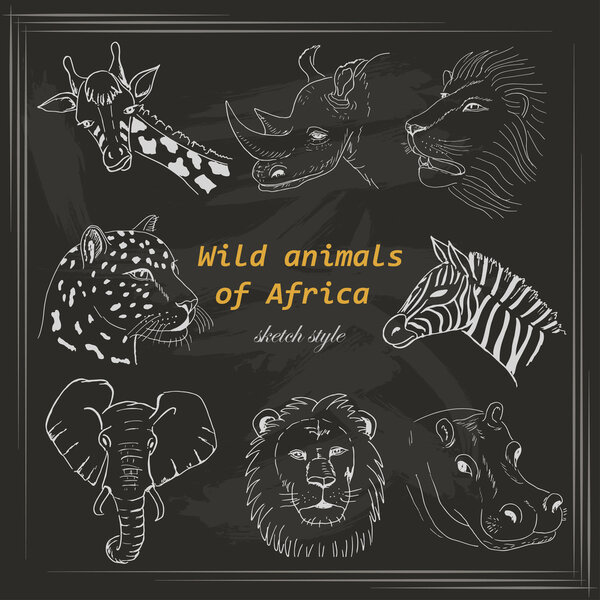 Set of wild animals of Africa in sketch style on a dark background