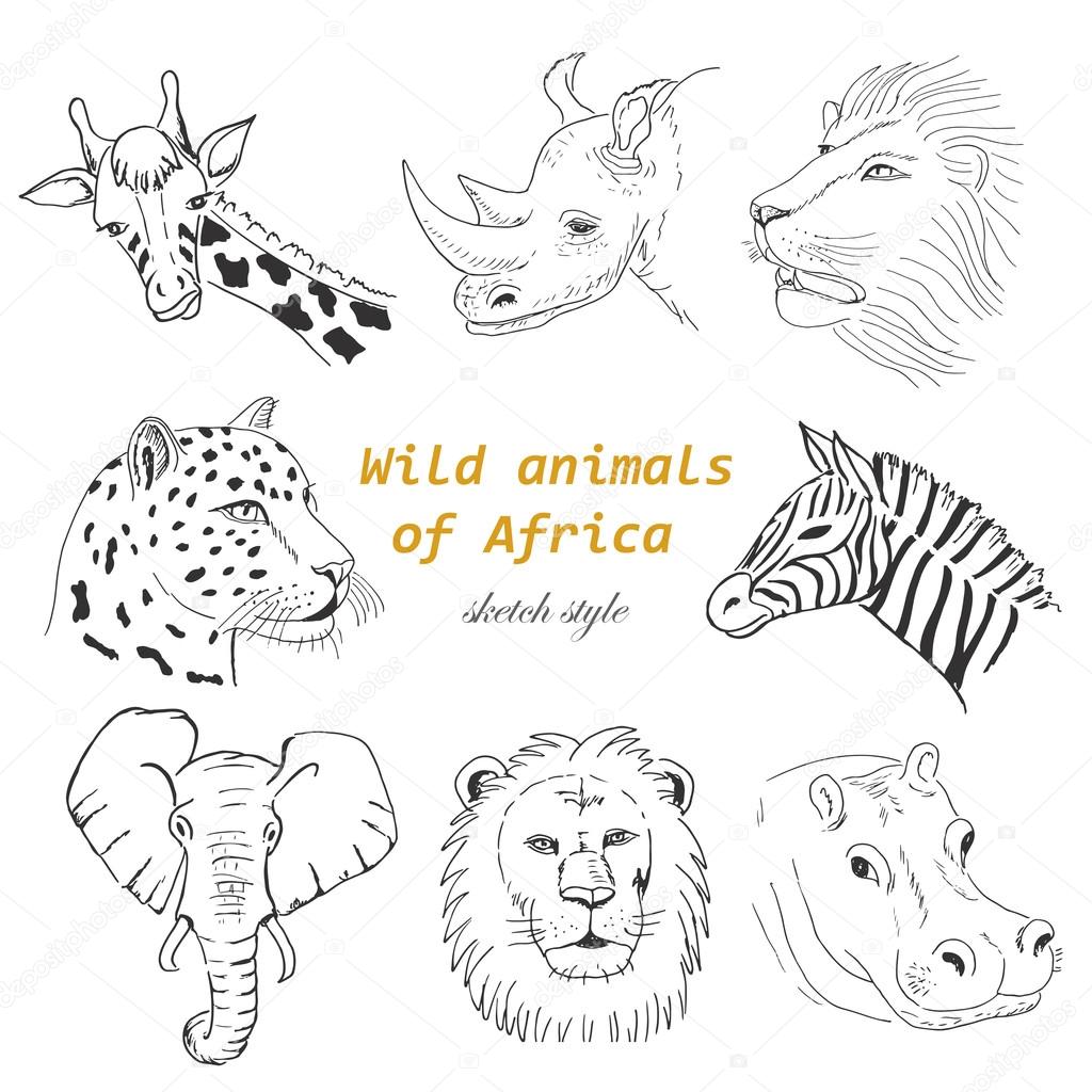Set of wild animals of Africa in sketch style