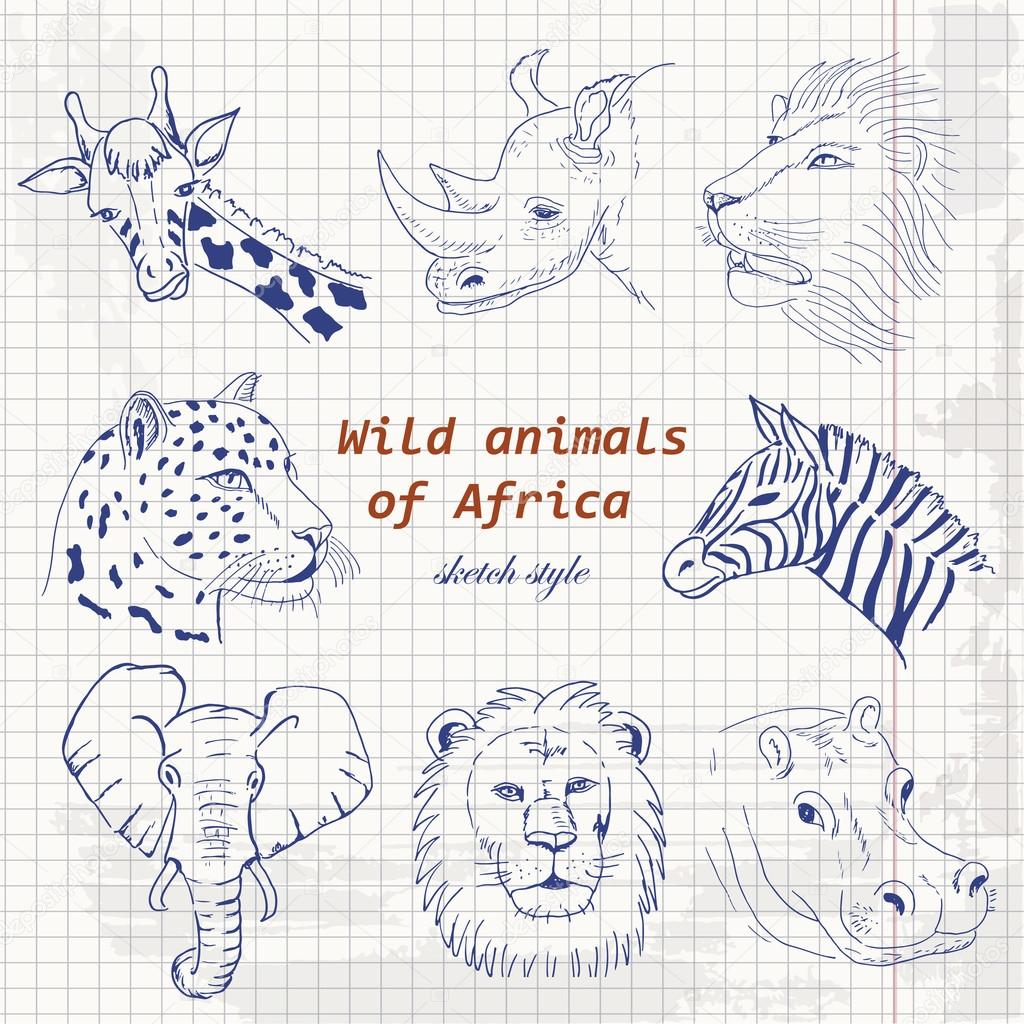Set of wild animals of Africa in sketch style on a paper
