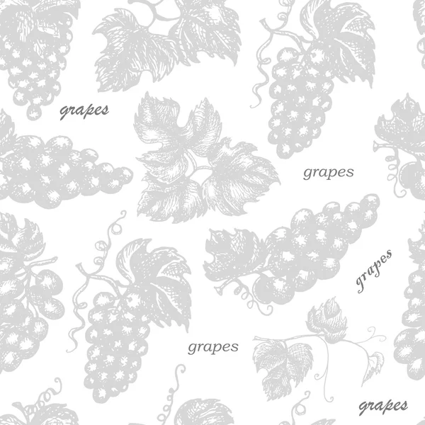 Varrat nélküli mintát a szőlő, a levelek és ágak — Stock Vector