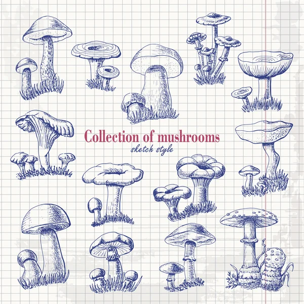 Coleção de cogumelos no estilo de esboço em papel — Vetor de Stock