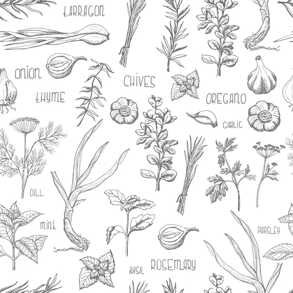 Motif sans couture avec des herbes et des épices — Image vectorielle