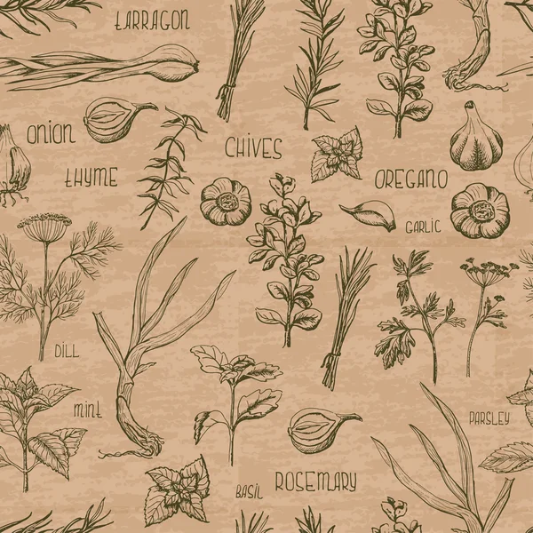 Patrón sin costuras con hierbas y especias sobre un fondo beige — Archivo Imágenes Vectoriales