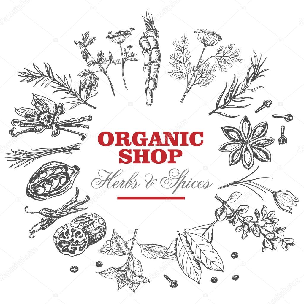 Vector background with isolated spices in a circle and an inscription in the middle