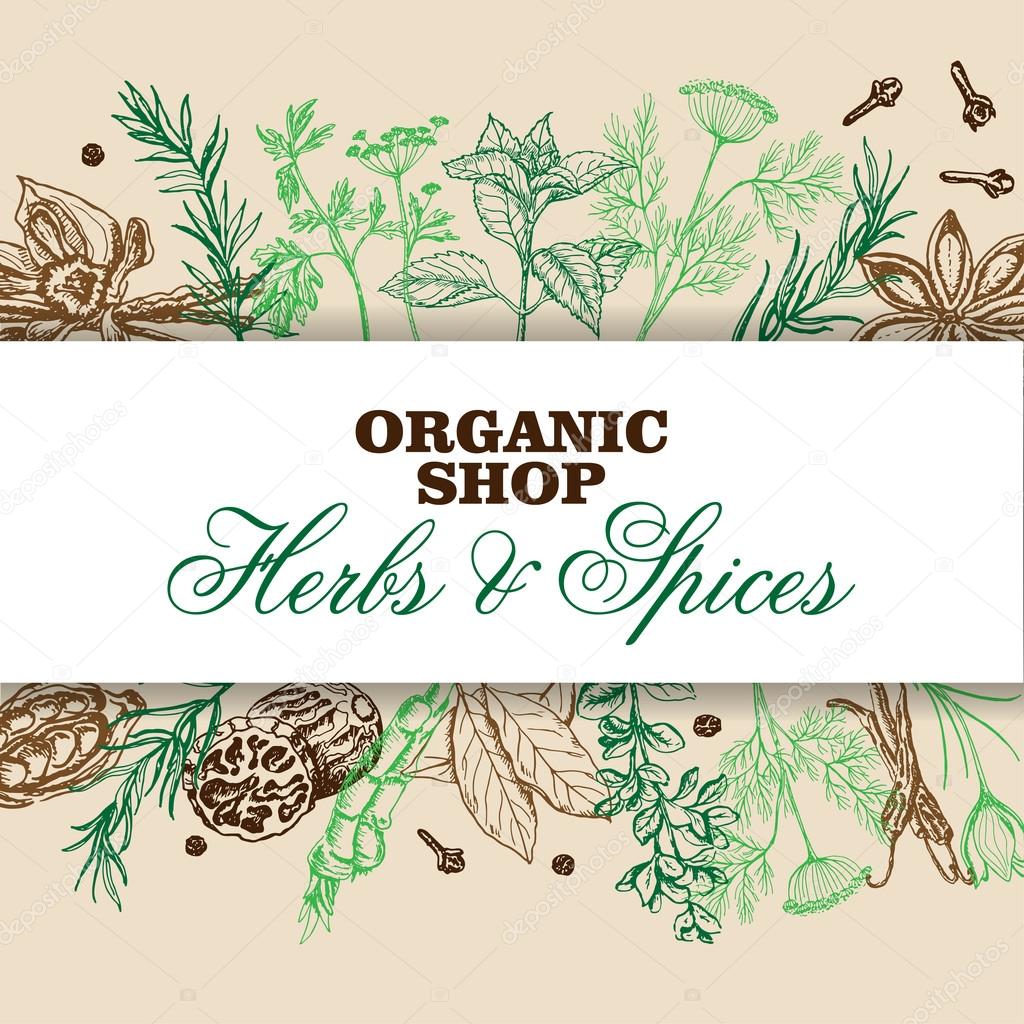 Vector background with spices and herbs