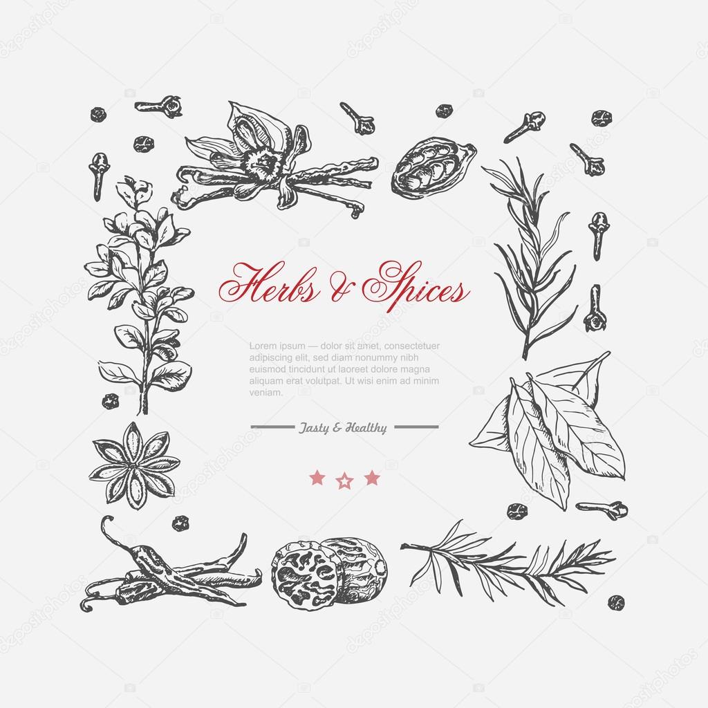 Vector frame of spices and herbs on a white background