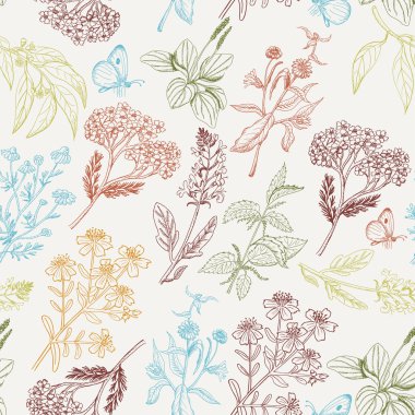 Vector seamless pattern with herbs clipart