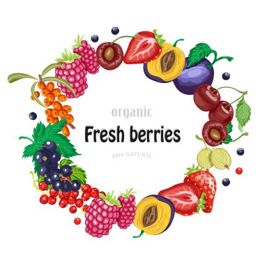 Vektör yuvarlak çerçeve beyaz zemin üzerine Bahçe çilek ile