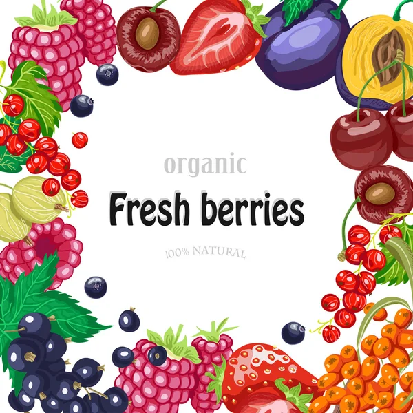 Vector background with garden berries — Stock Vector