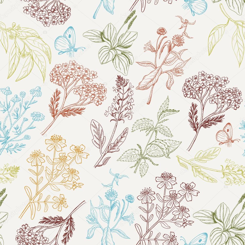 Vector seamless pattern with herbs