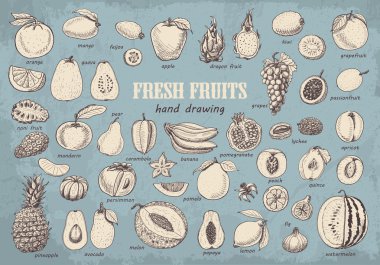 Mavi arka plan üzerinde meyvelerin büyük koleksiyonu