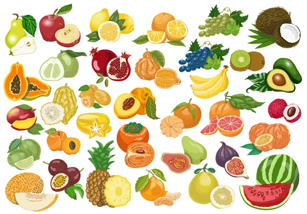 Gran colección de frutas aisladas sobre fondo blanco — Vector de stock