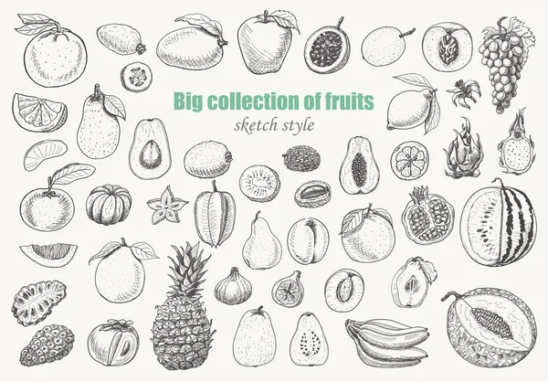 Beyaz arka plan üzerinde meyvelerin büyük koleksiyonu — Stok Vektör