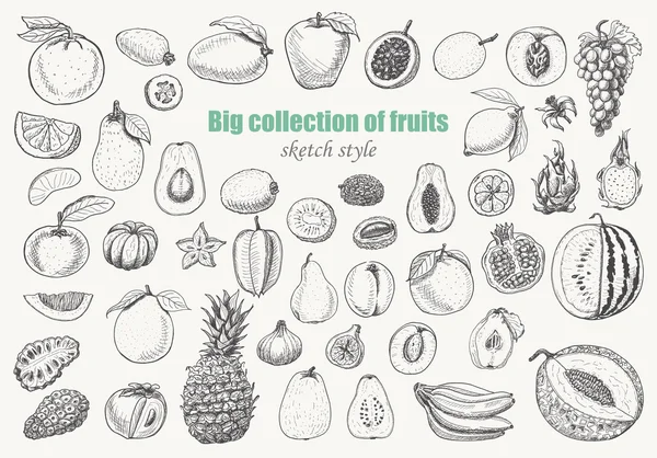 Grande collection de fruits sur fond blanc — Image vectorielle