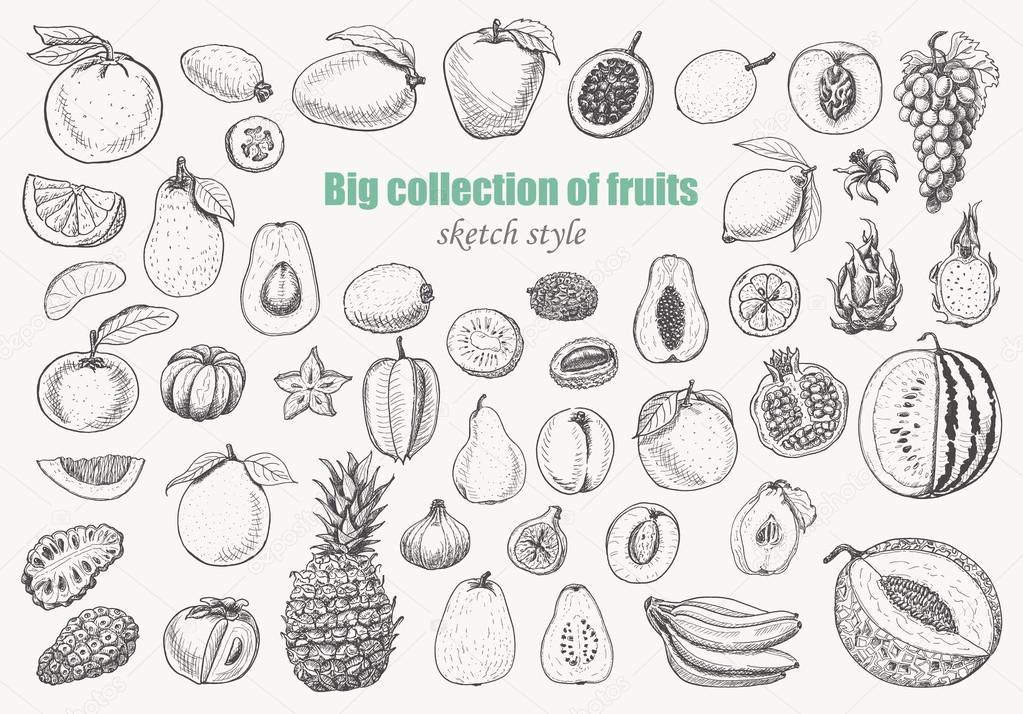 Big collection of fruits on white background