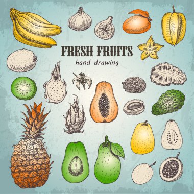 Kroki tarzı taze tropikal meyve kümesi