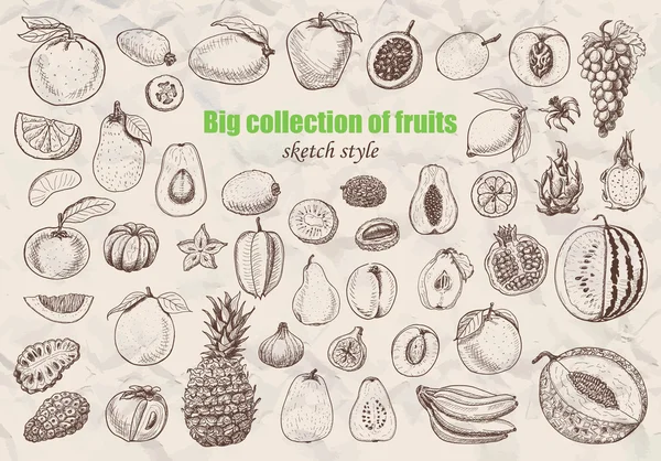 Big collection of fruits in sketch style. — Stock Vector