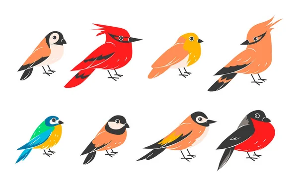 Winter birds. Collection of sparrow, bullfinch and tit, cardinal. Cartoon wild flying animals isolated on white. Forest creature, bright feather and plumage. Vector wildlife flat set — Stockvector