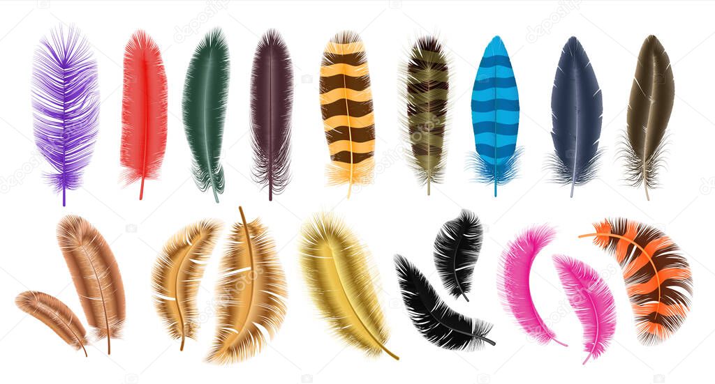 Colored feathers. Realistic decorative fluffy plumage, 3D isolated on white falling swan, parrot and goose feather collection. Bright tropical bird softness plume for design vector decoration elements