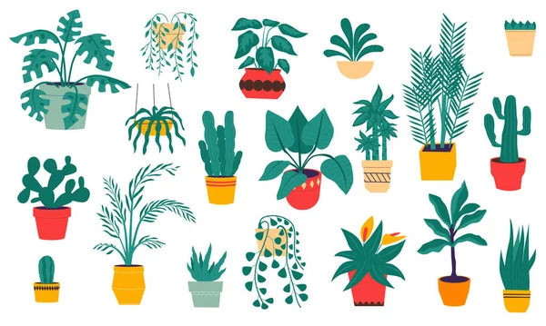 Plantas de casa. Flores tropicales y desérticas en macetas de cerámica. Ficus interiores, palmeras y cactus siempreverdes aislados. Suculenta y monstruosa dibujada a mano. Vector decoración interior del hogar conjunto — Archivo Imágenes Vectoriales