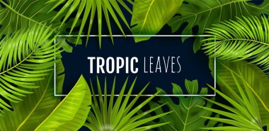 Tropik arka plan. Gerçekçi orman yaprakları, yazılı çerçeve. Canavar, muz ve palmiye yaprakları. Güzellik ve kozmetik reklamları, tekstil dekorasyon şablonu. Vektör yağmur ormanı modeli