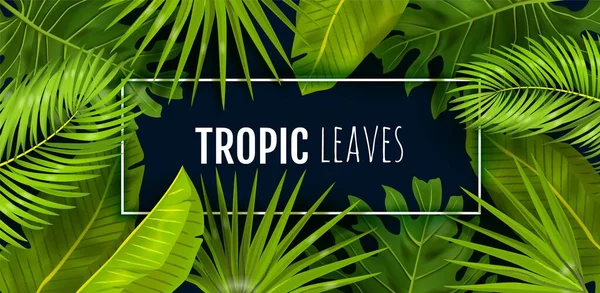 Fond tropical. Feuillage jungle réaliste, cadre avec texte. Monstera, feuilles de banane et de palmier. Publicité beauté et cosmétiques, modèle de décoration textile. Modélisation de forêt tropicale vectorielle — Image vectorielle