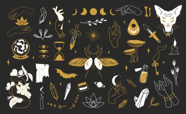 Sihirli boho. Simya amblemi, ezoterik semboller. Tahmin geleceği ve ayin salonu. Mistik iksir, sihirli nesneler, kristaller ve bitkiler. Dövme ya da yazdırma şablonu, vektör sihirbazlığı